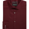 Awearness Kenneth Cole Slim Fit Performance Dress Shirt, Burgundy