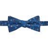 Egara Pre-Tied Bow Tie, Gold Floral