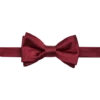 Egara Pre-Tied Formal Bow Tie, Burgundy