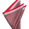 Pronto Uomo Pocket Square, Red Check